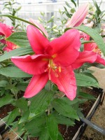 [5670 VZ W09 0644-01 No02.JPG]